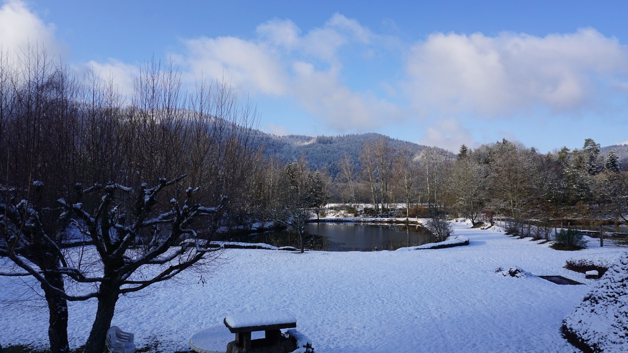 Photo of Outdoor in Vagney