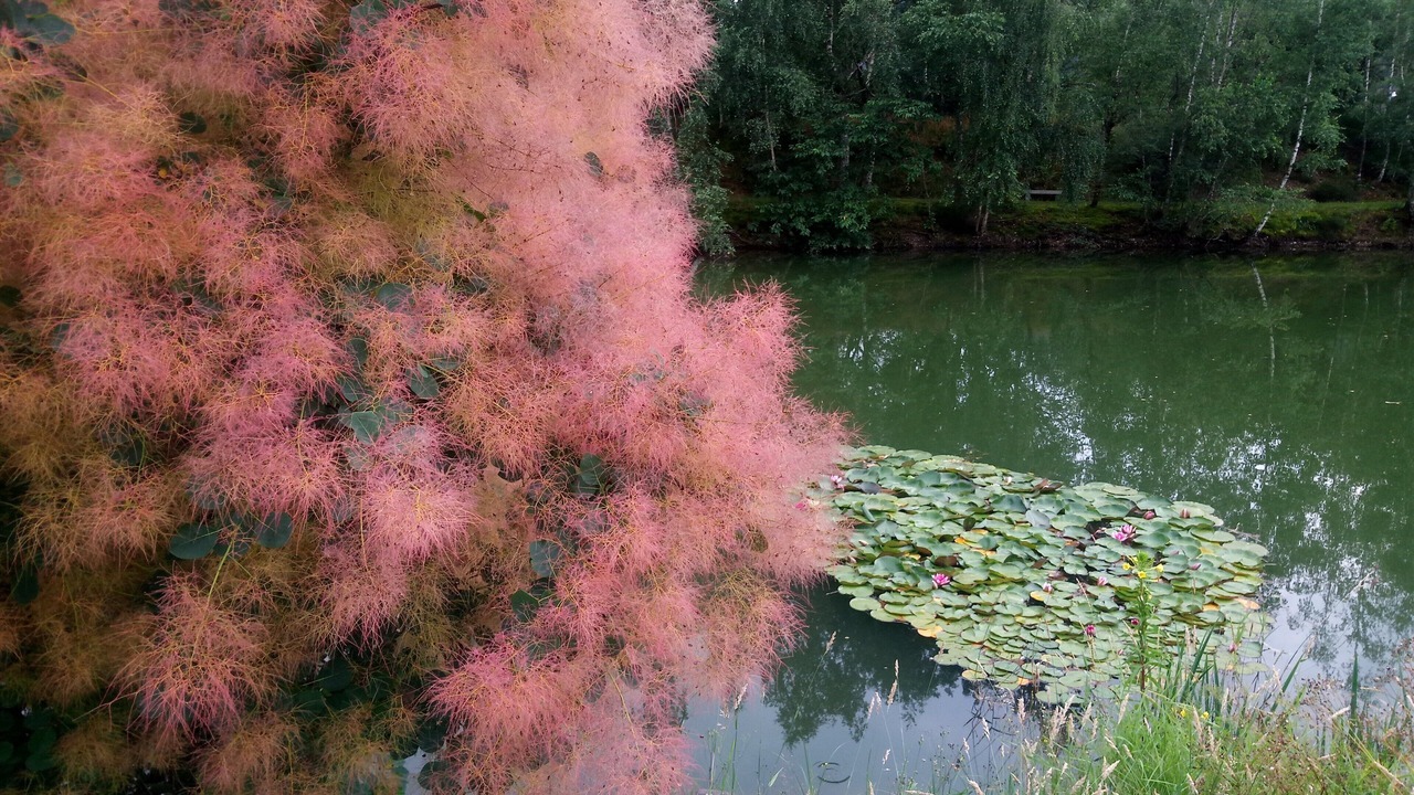 Photo of Outdoor in Vagney