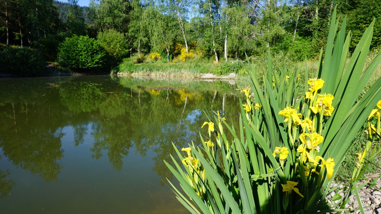 Photo of Outdoor in Vagney