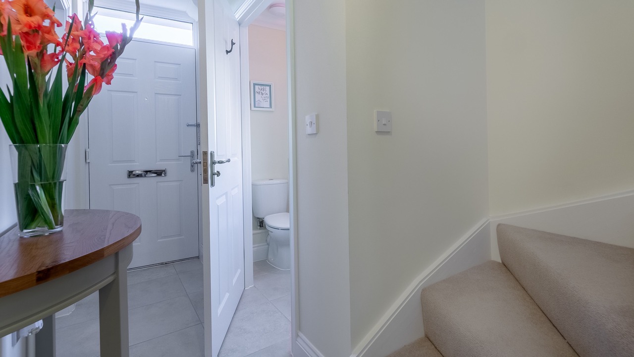 Photo of Others in Holt