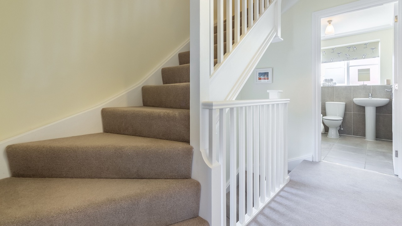 Photo of Others in Holt