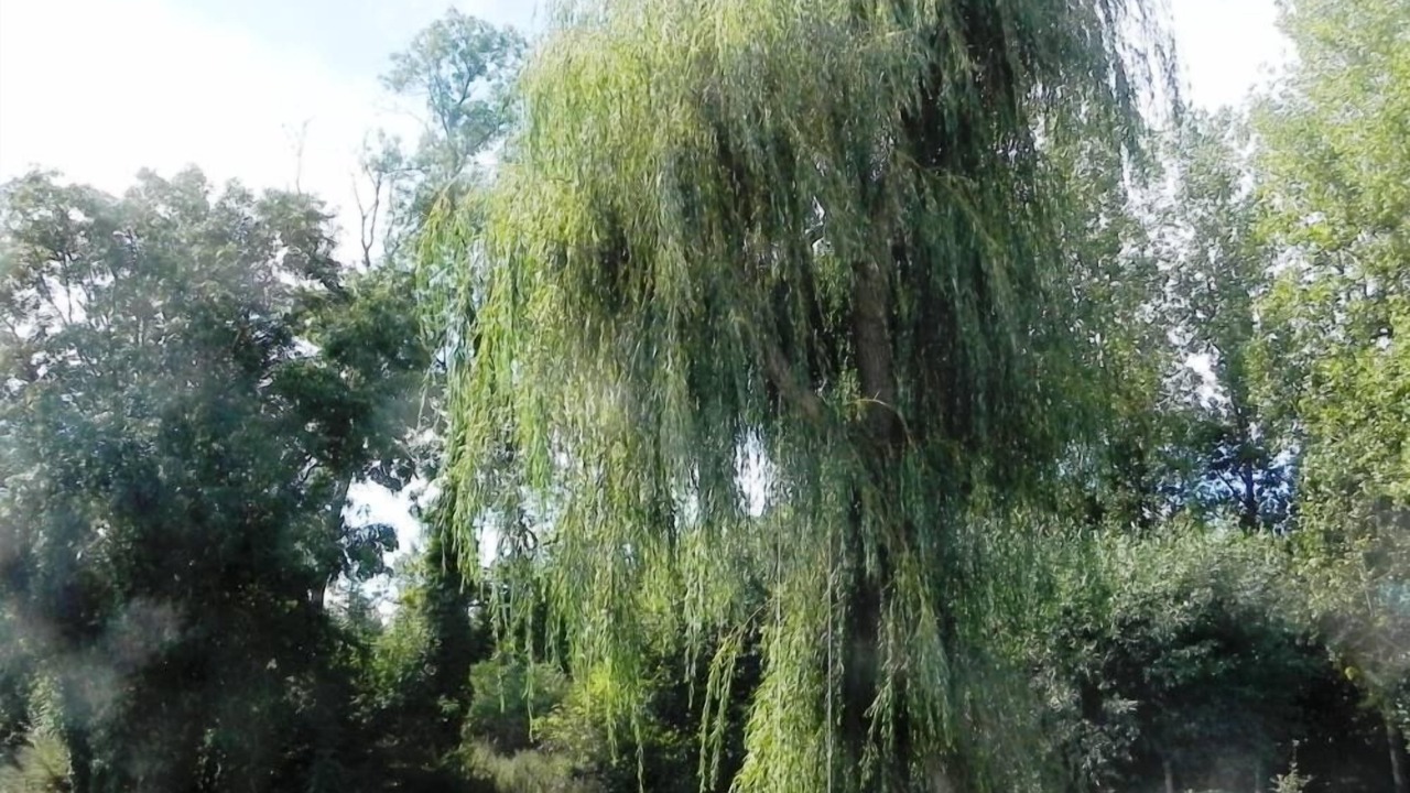 Photo of Outdoor in Leudon-en-Brie