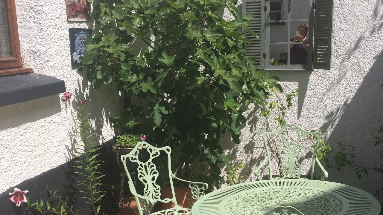 Photo of Outdoor in Newton Saint Cyres