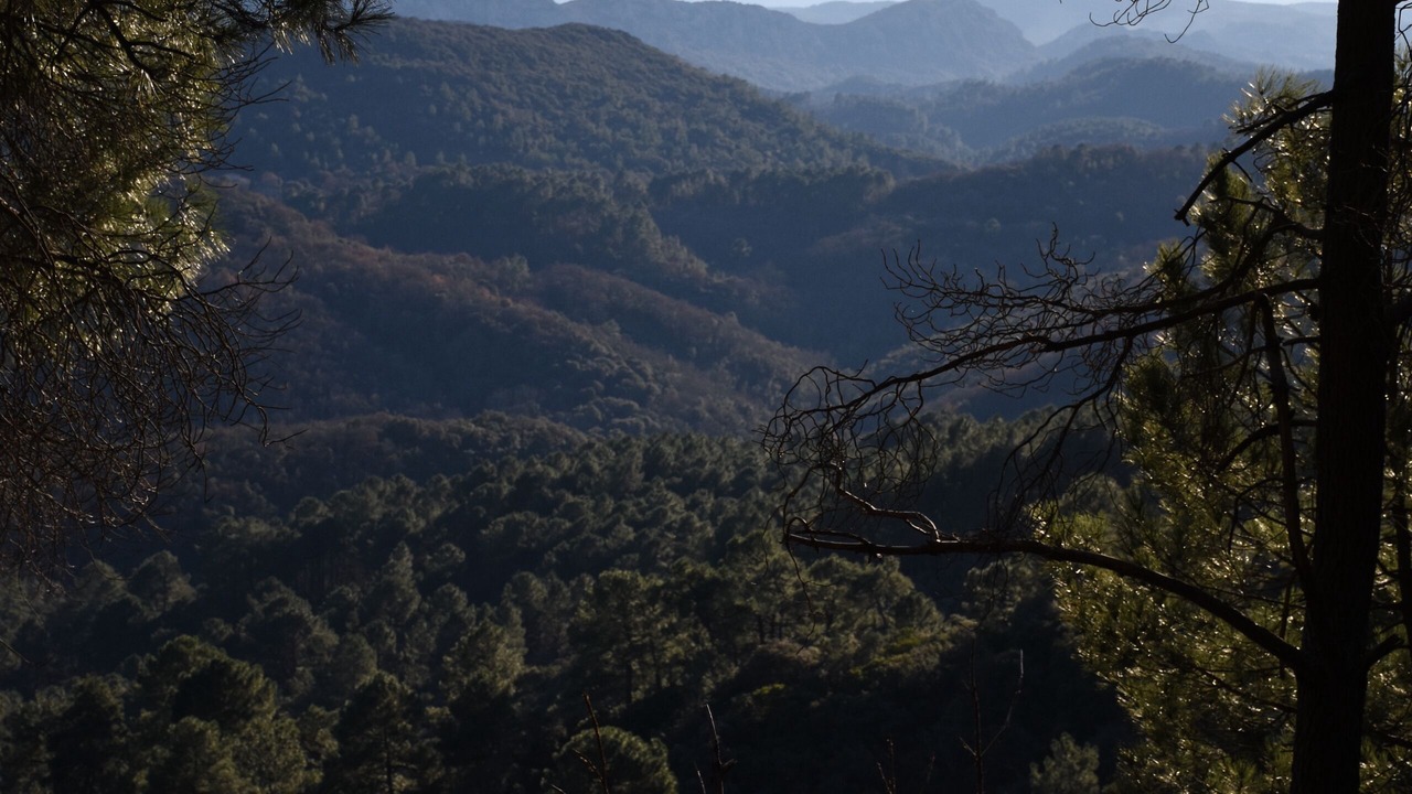 Photo of Others in Generargues