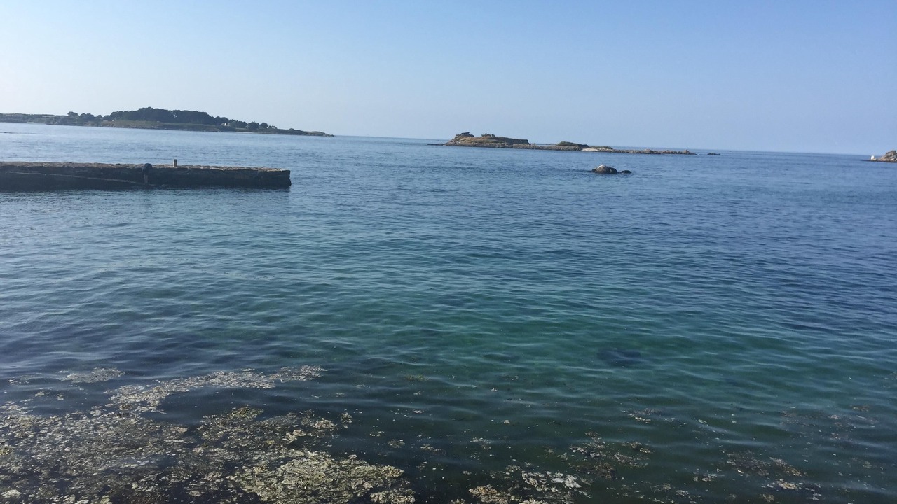 Photo of Outdoor in Roscoff