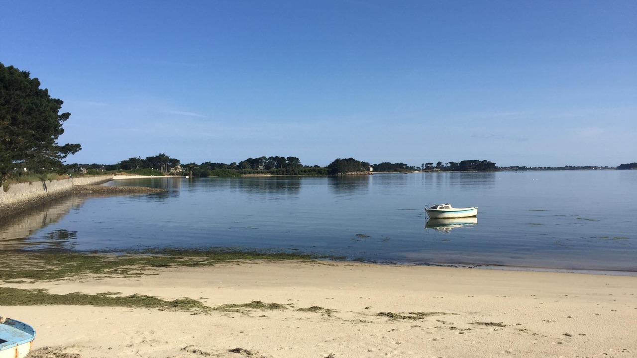 Photo of Others in Roscoff