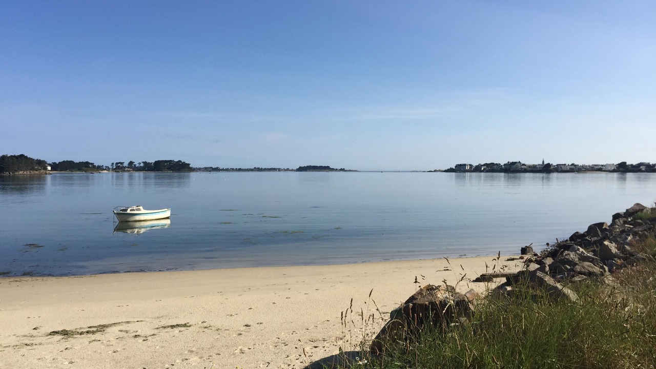 Photo of Others in Roscoff