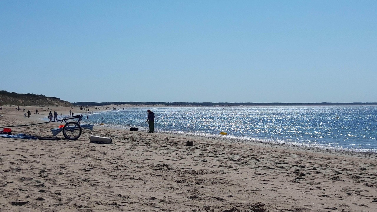 Photo of Others in Saint-Vincent-sur-Jard