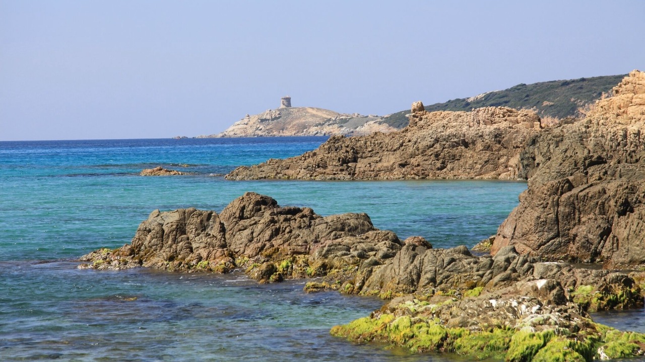 Photo of Others in Cargese