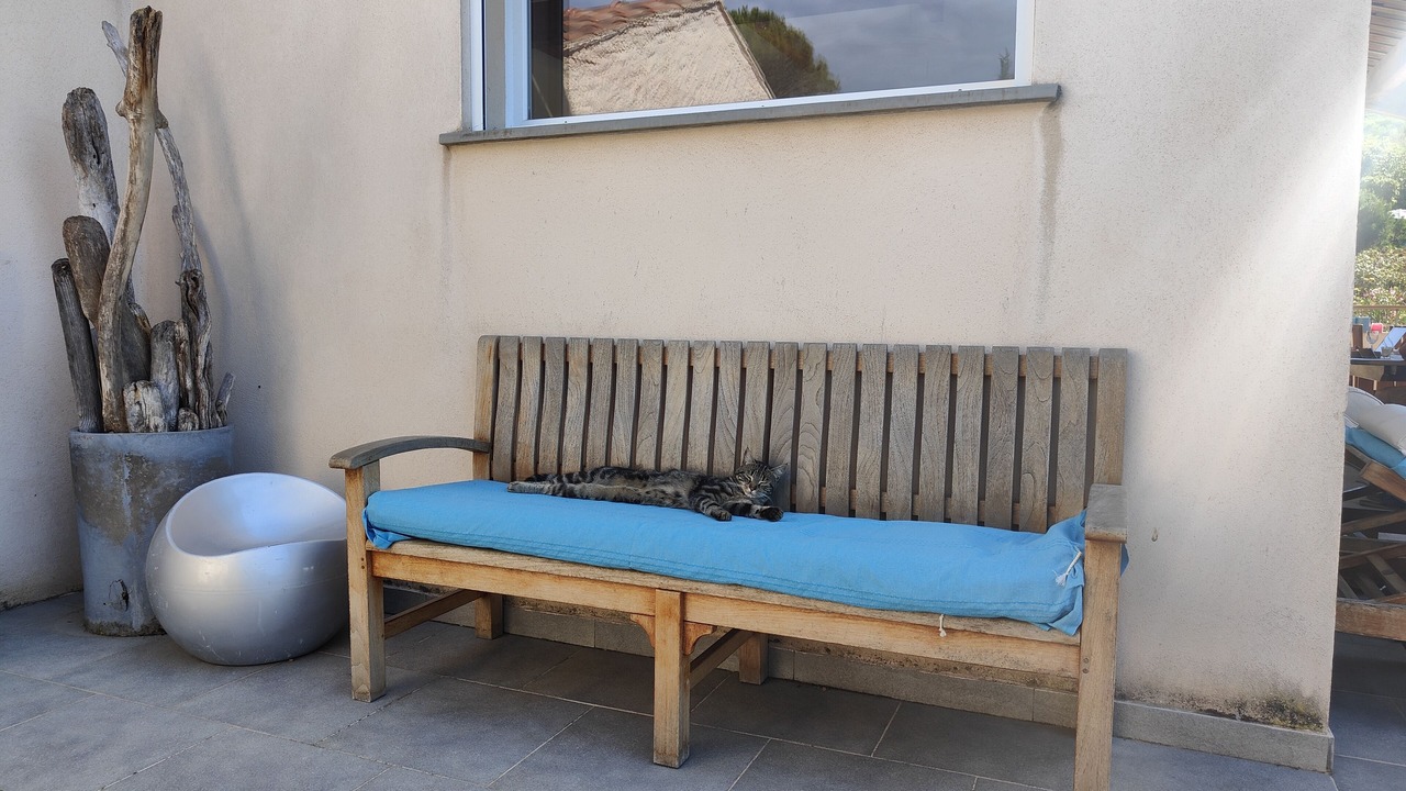 Photo of Outdoor in Cargese