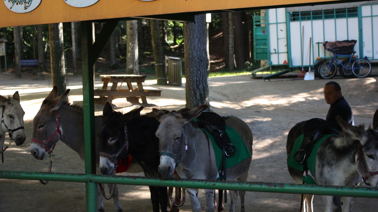 Photo of Others in Aydat