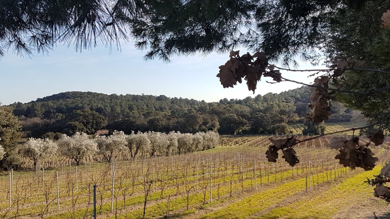 Photo of Outdoor in Piolenc