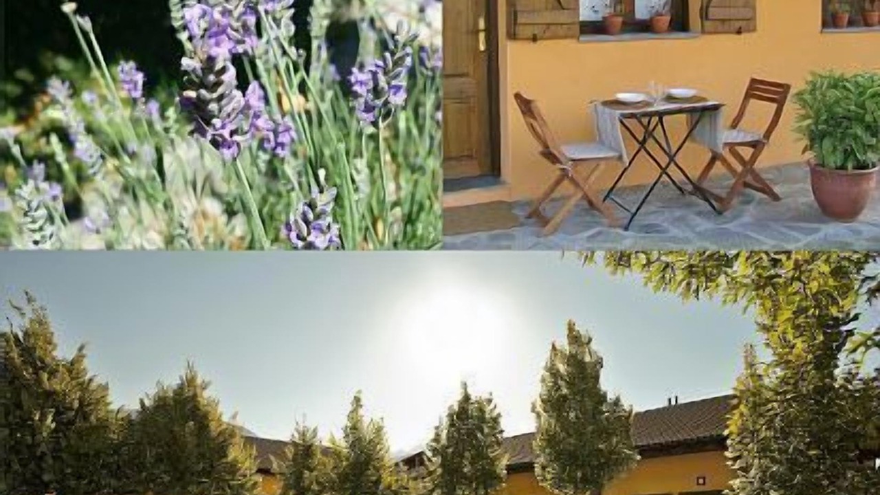 Photo of Outdoor in Campo