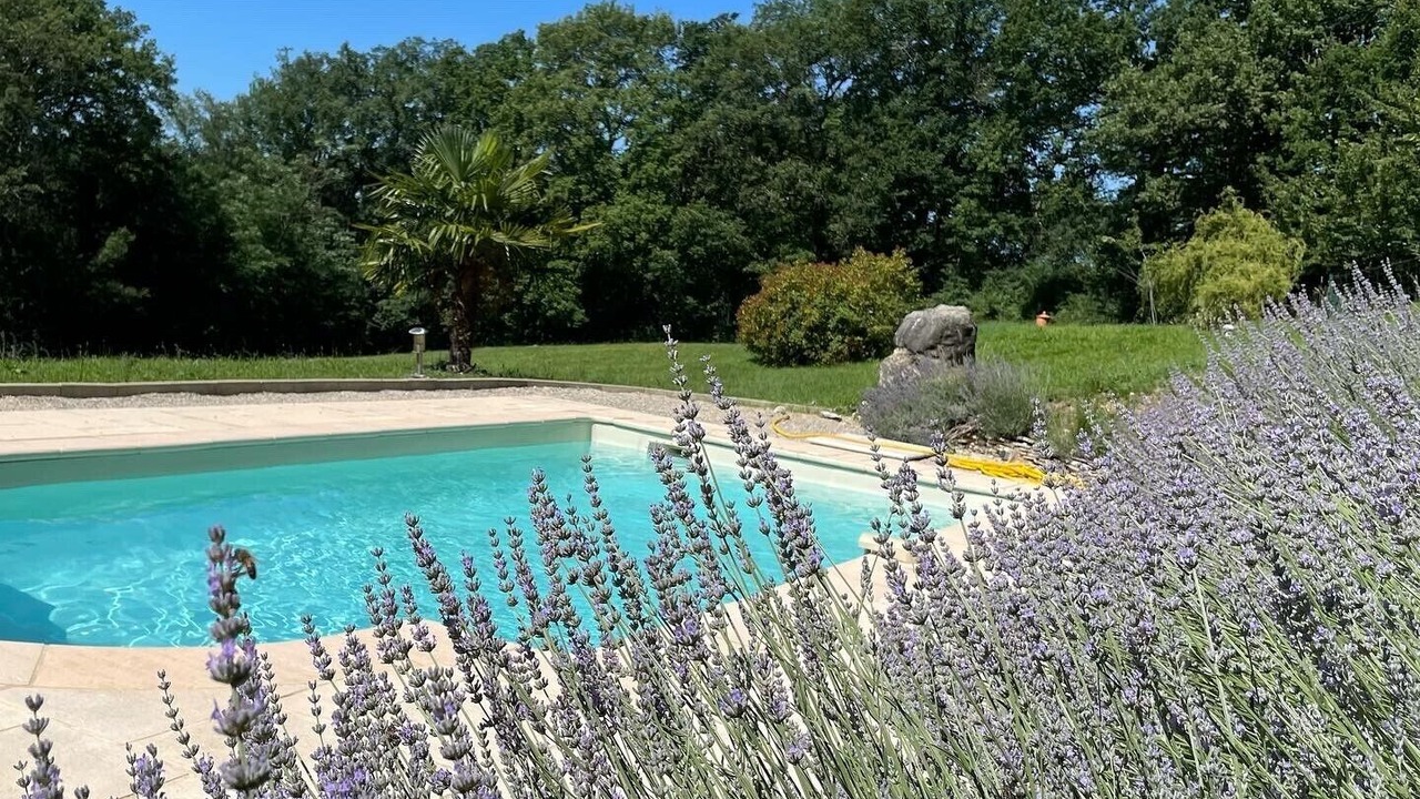 Photo of Outdoor in Veyrines-de-Domme