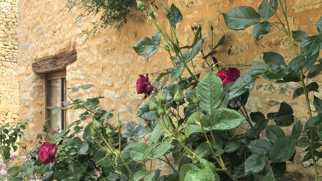 Photo of Outdoor in Veyrines-de-Domme