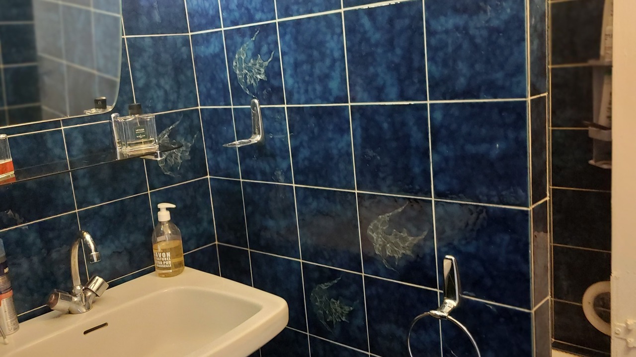 Photo of Bathroom in Croulebarbe