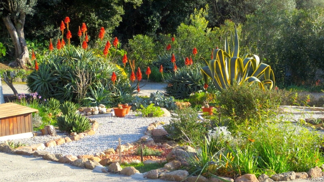 Photo of Outdoor in Olmeto