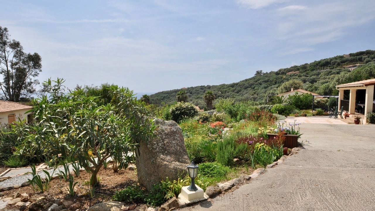 Photo of Outdoor in Olmeto