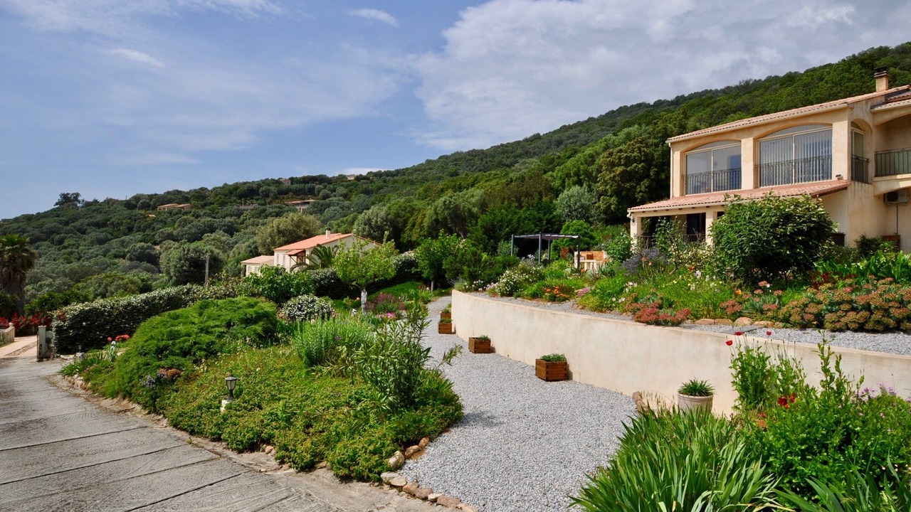 Photo of Outdoor in Olmeto