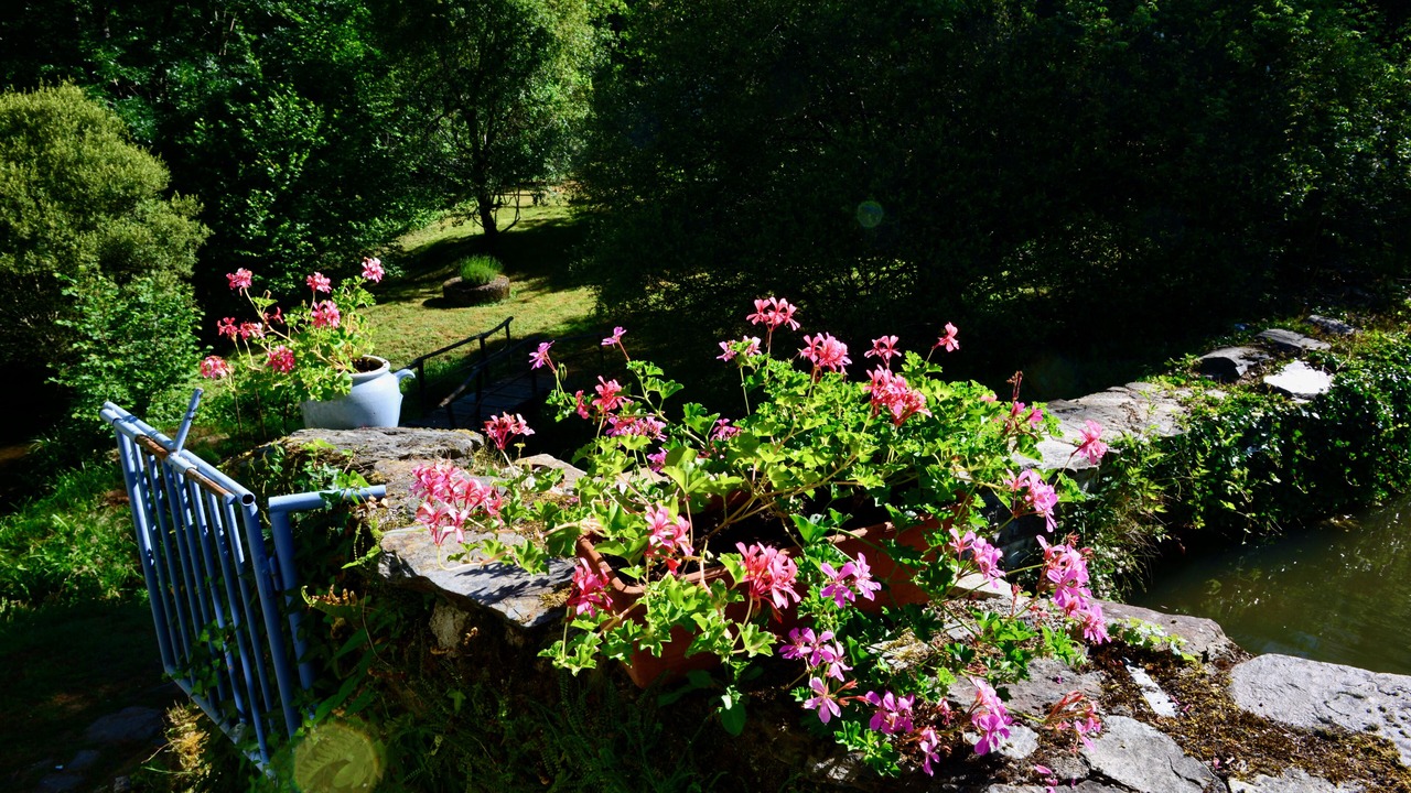 Photo of Outdoor in Requista