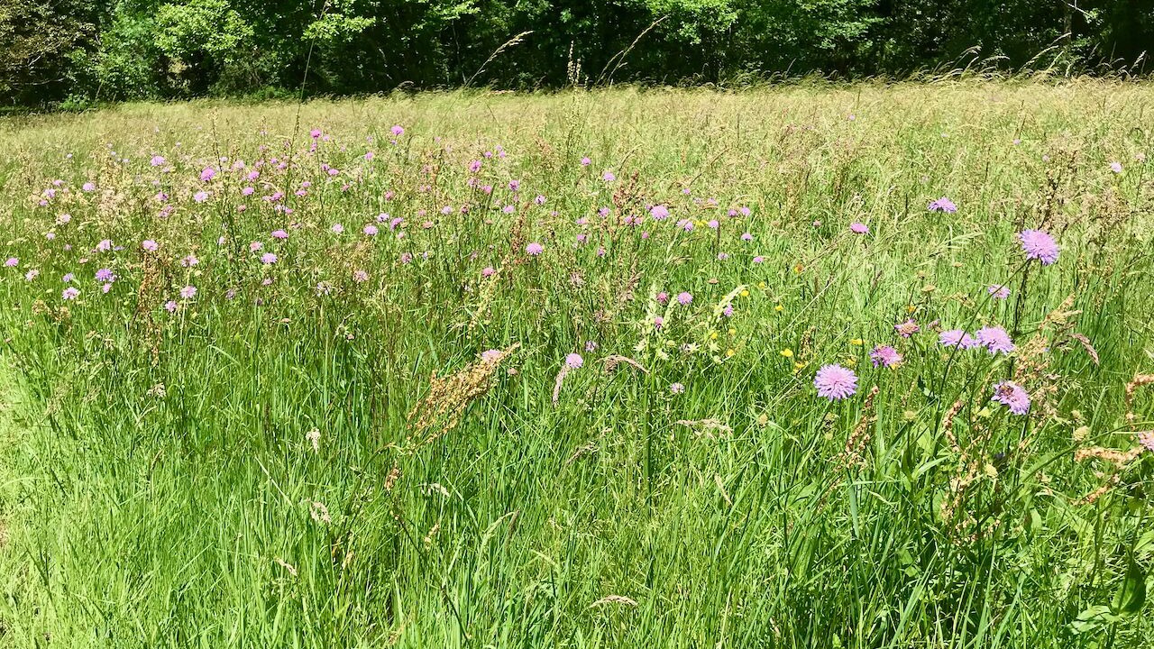 Photo of Outdoor in Requista