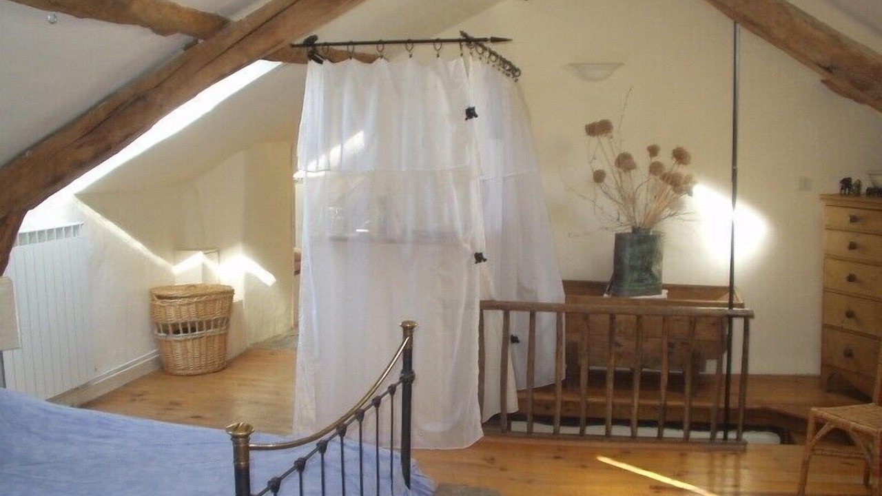 Photo of Others in Requista