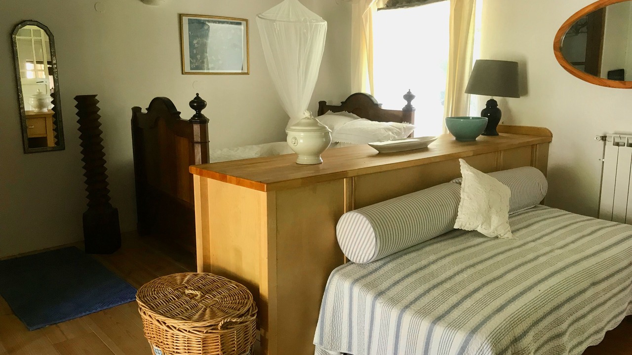 Photo of Others in Requista