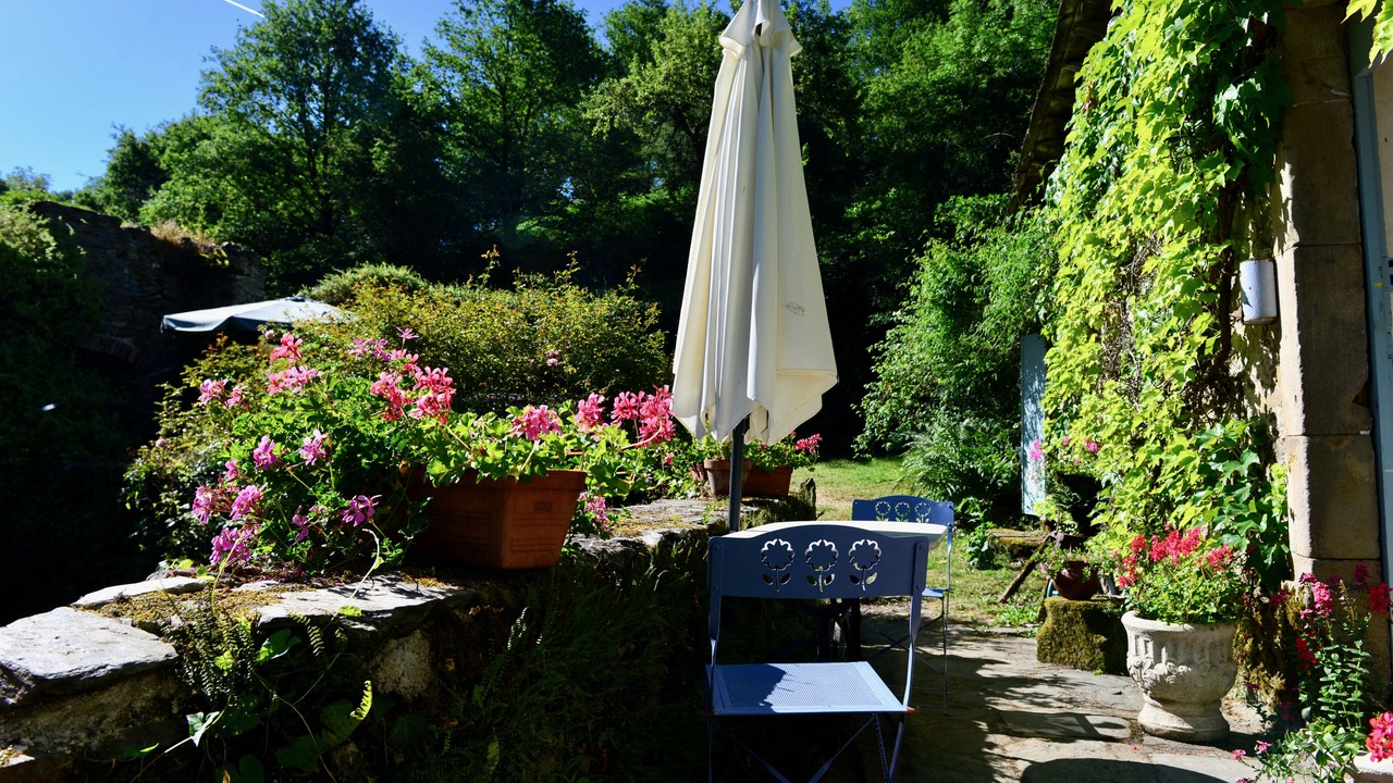 Photo of Others in Requista