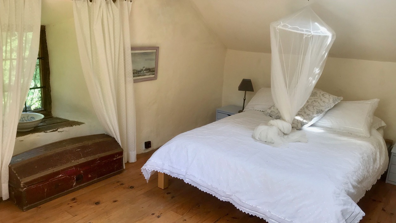 Photo of Others in Requista