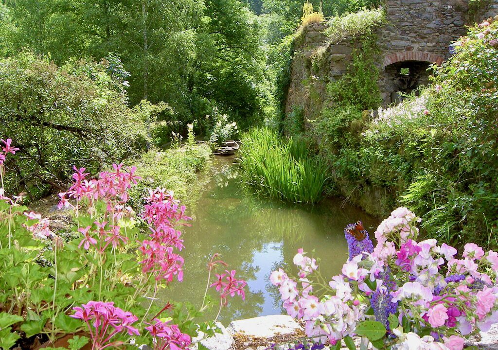 Photo of Others in Requista