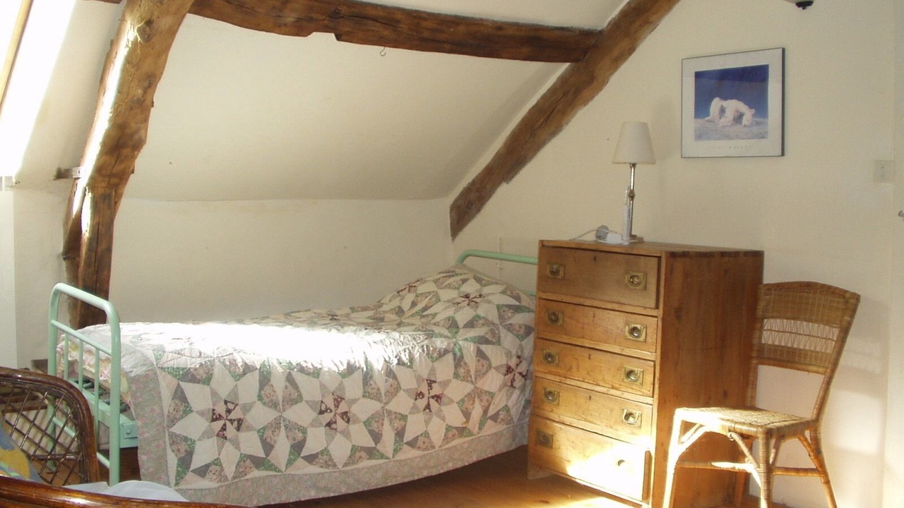 Photo of Others in Requista