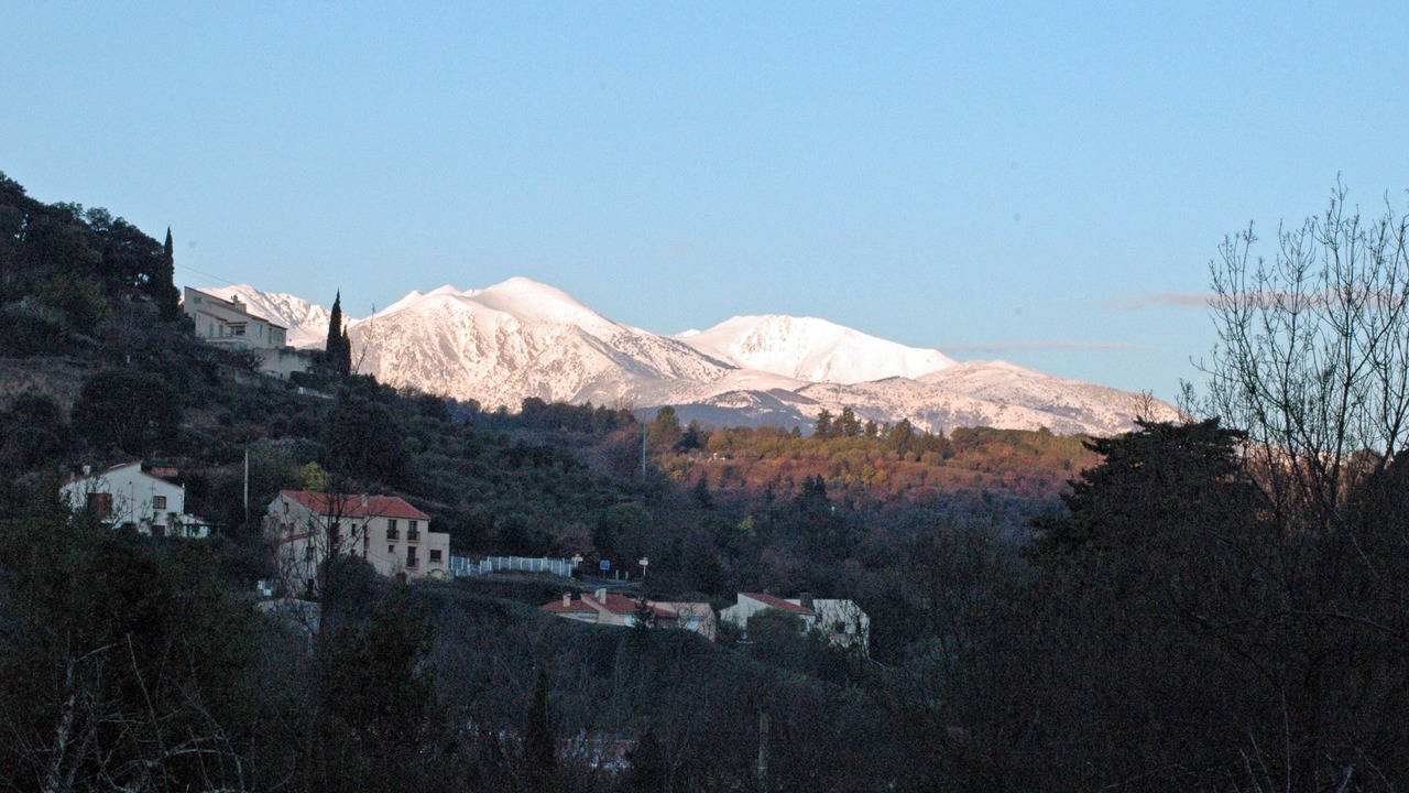 Photo of Others in Ceret