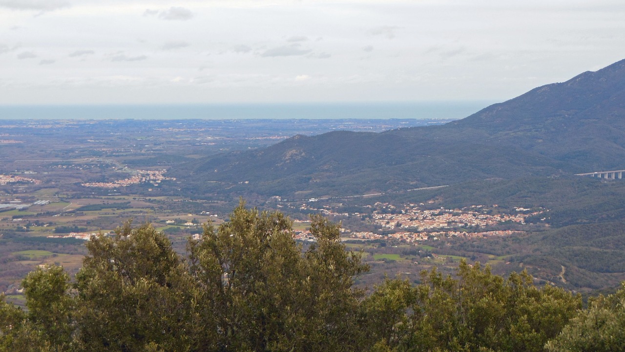 Photo of Others in Ceret