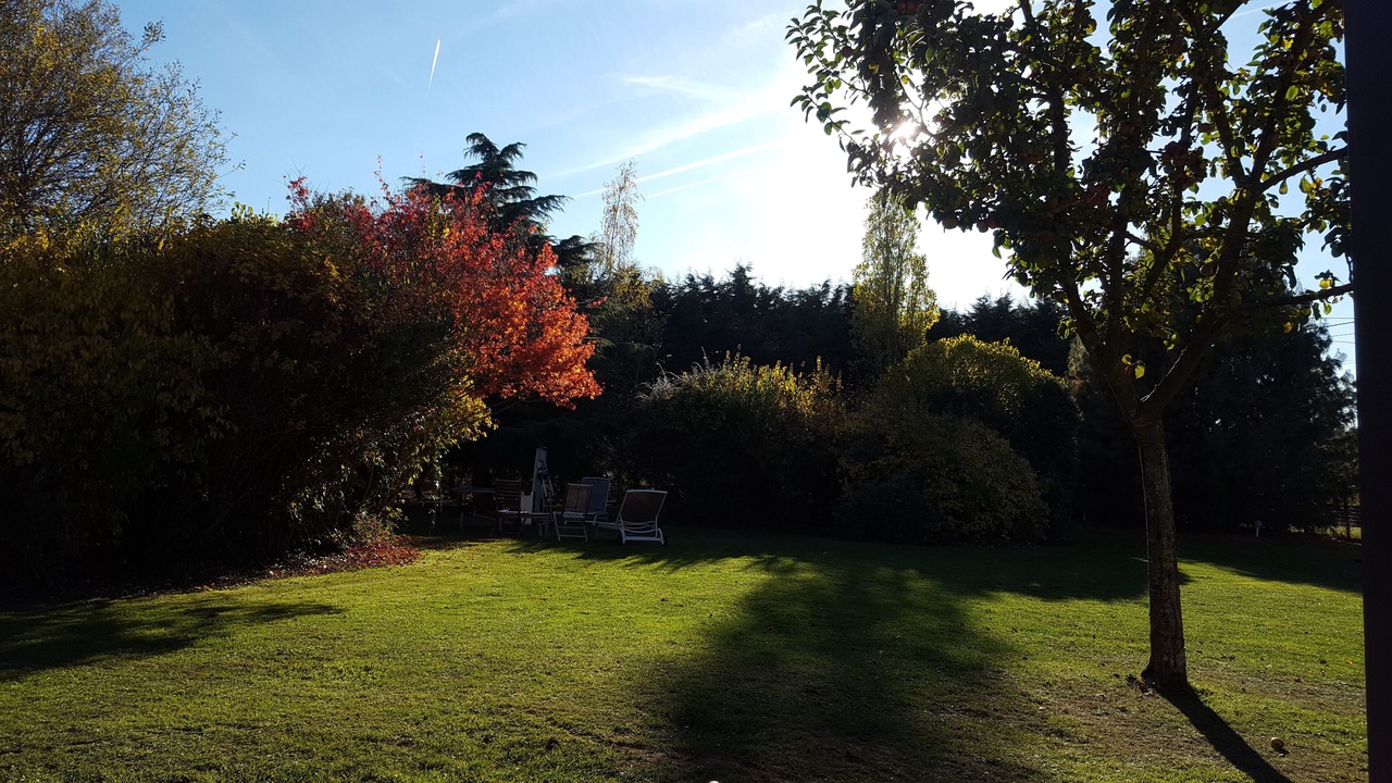 Photo of Outdoor in Chatillon-en-Dunois