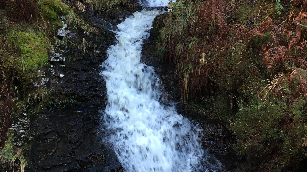 Photo of Others in Fort Augustus