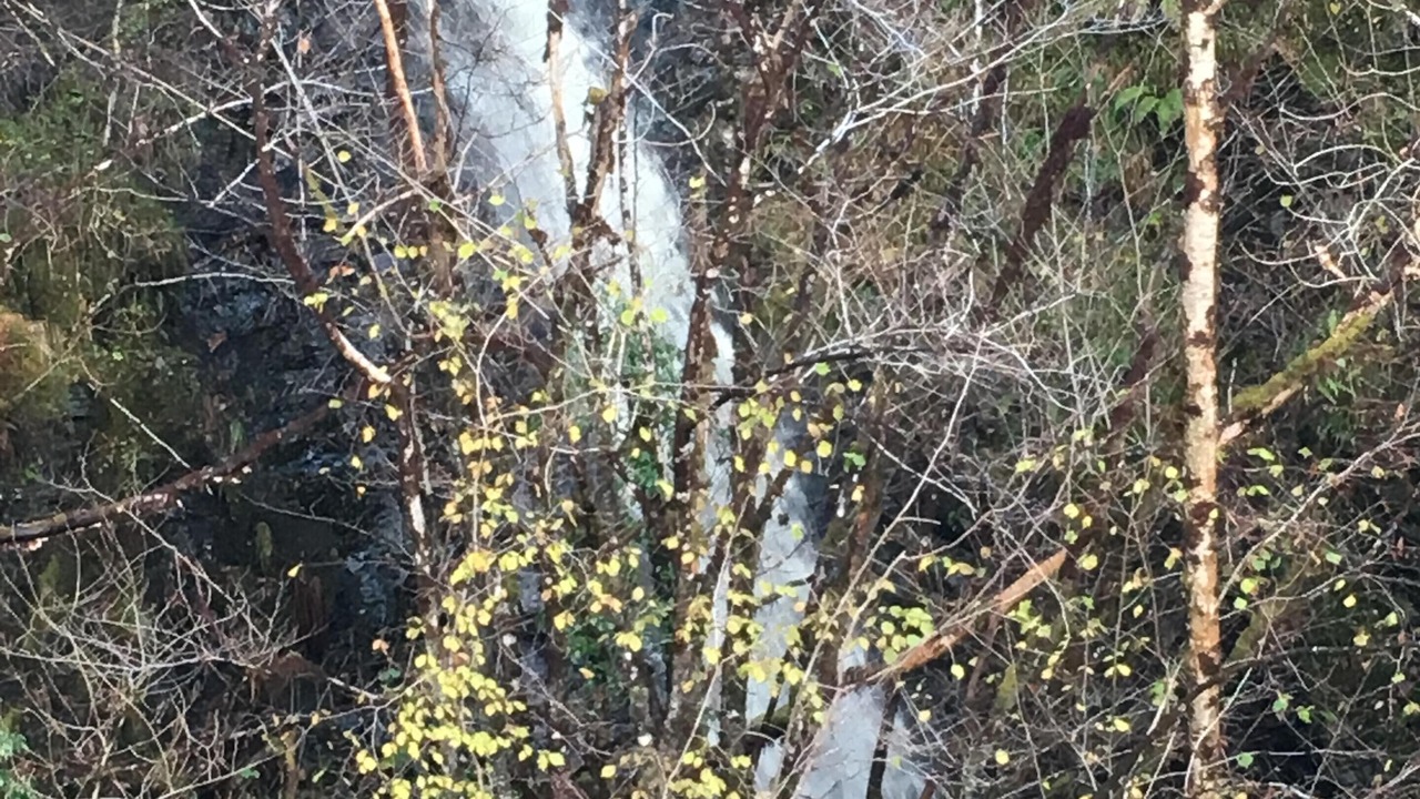 Photo of Outdoor in Fort Augustus