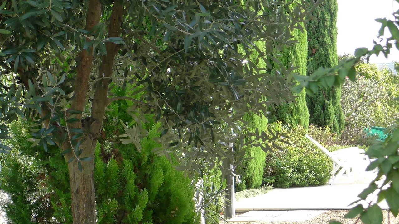 Photo of Outdoor in Saint-Genies-de-Fontedit