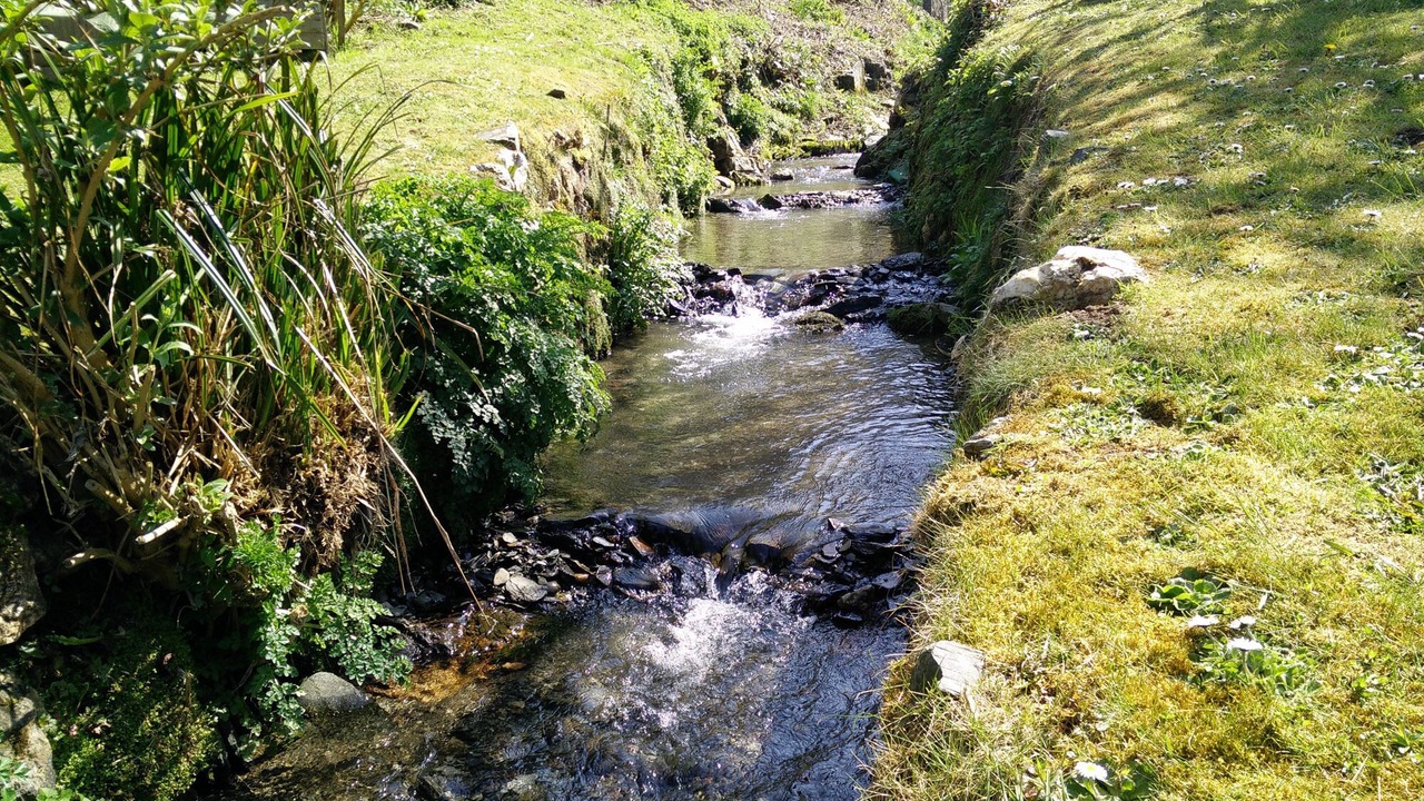 Photo of Outdoor in Boscastle