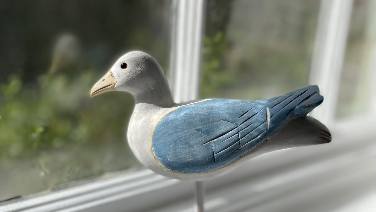 Photo of Others in Boscastle