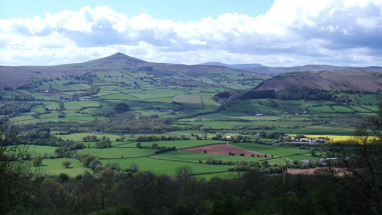 Photo of Others in Monmouth