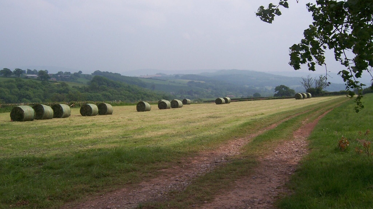 Photo of Others in Monmouth