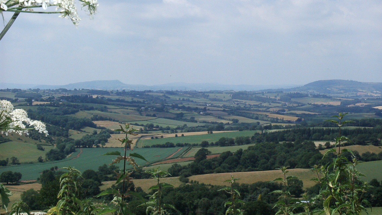 Photo of Others in Monmouth