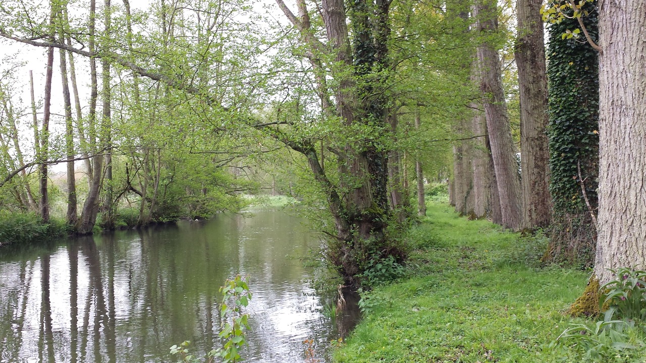 Photo of Outdoor in Broglie
