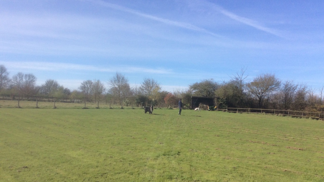 Photo of Outdoor in Wyverstone