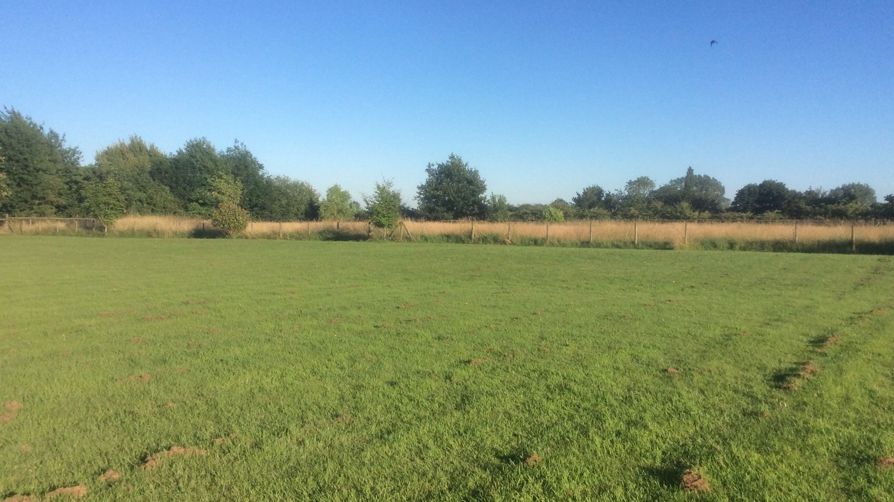 Photo of Others in Wyverstone