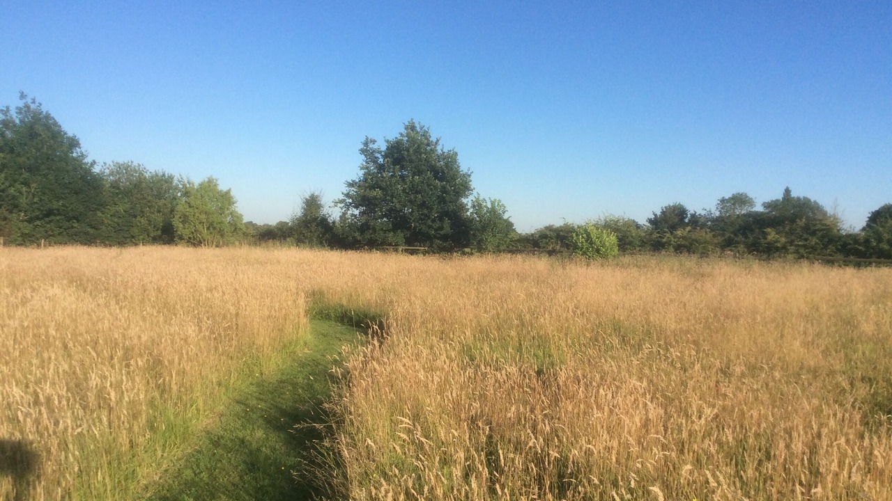 Photo of Outdoor in Wyverstone