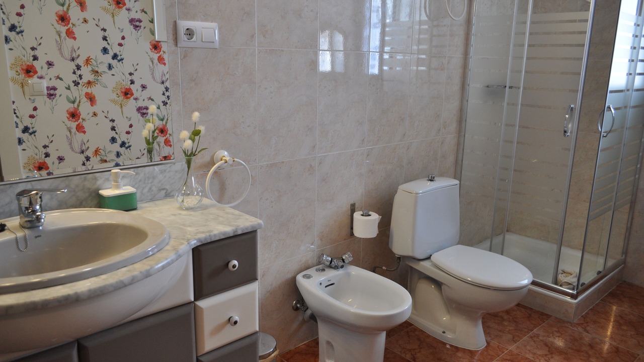 Photo of Bathroom in Cabanas de Ebro