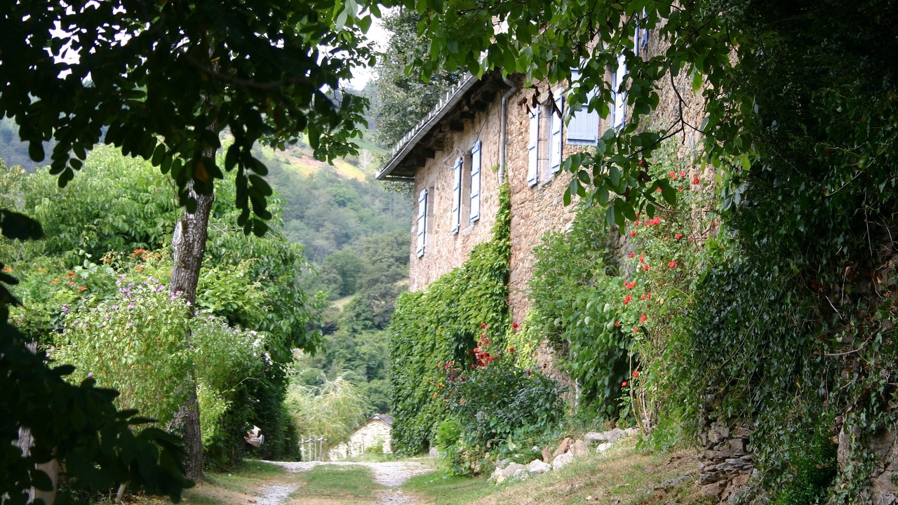 Photo of Others in Vieillevie