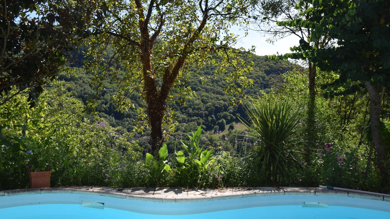 Photo of Outdoor in Vieillevie