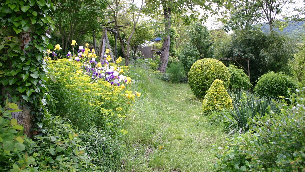 Photo of Outdoor in Vieillevie